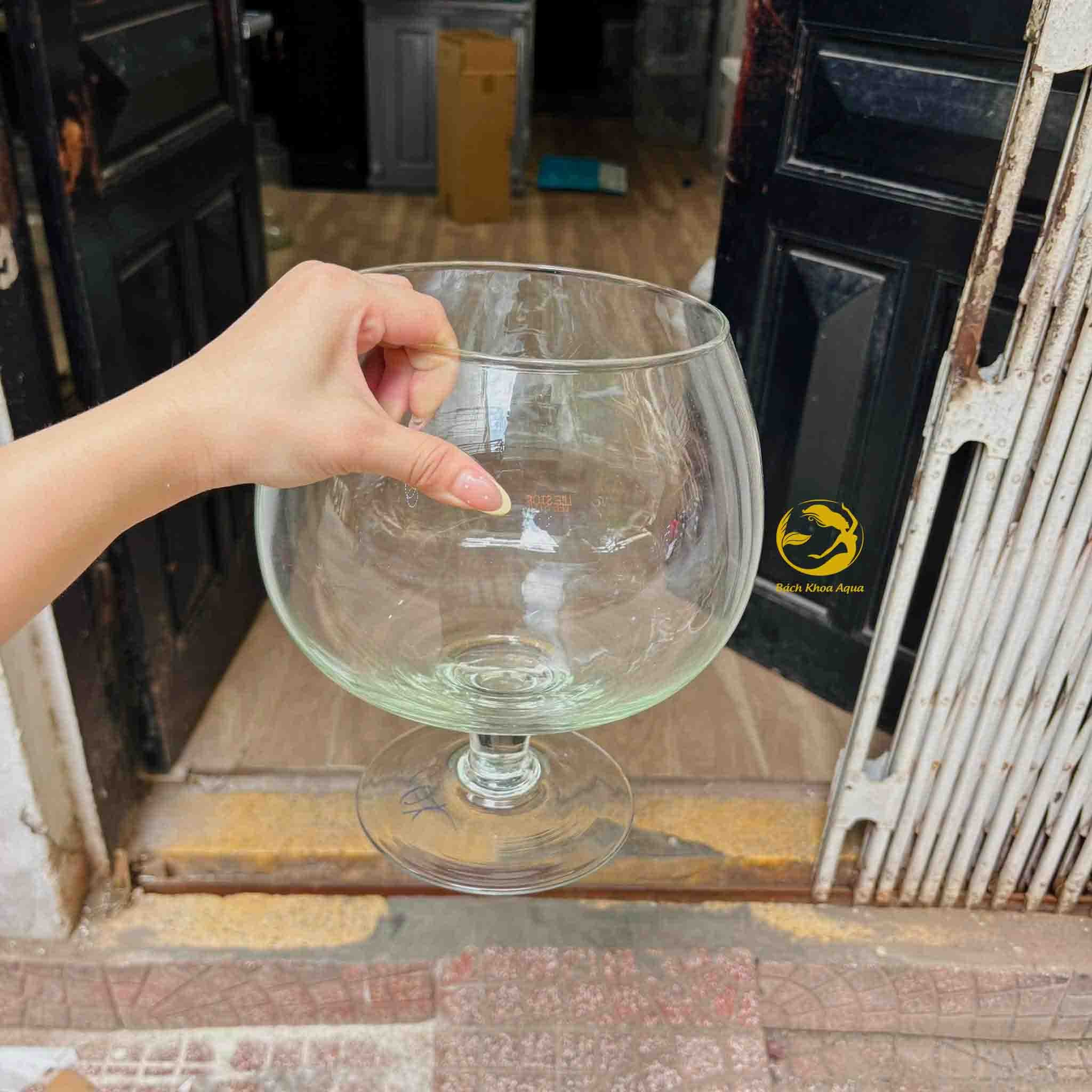 Cóng thủy tinh dáng ly đứng thả cá trang trí phòng siêu đep